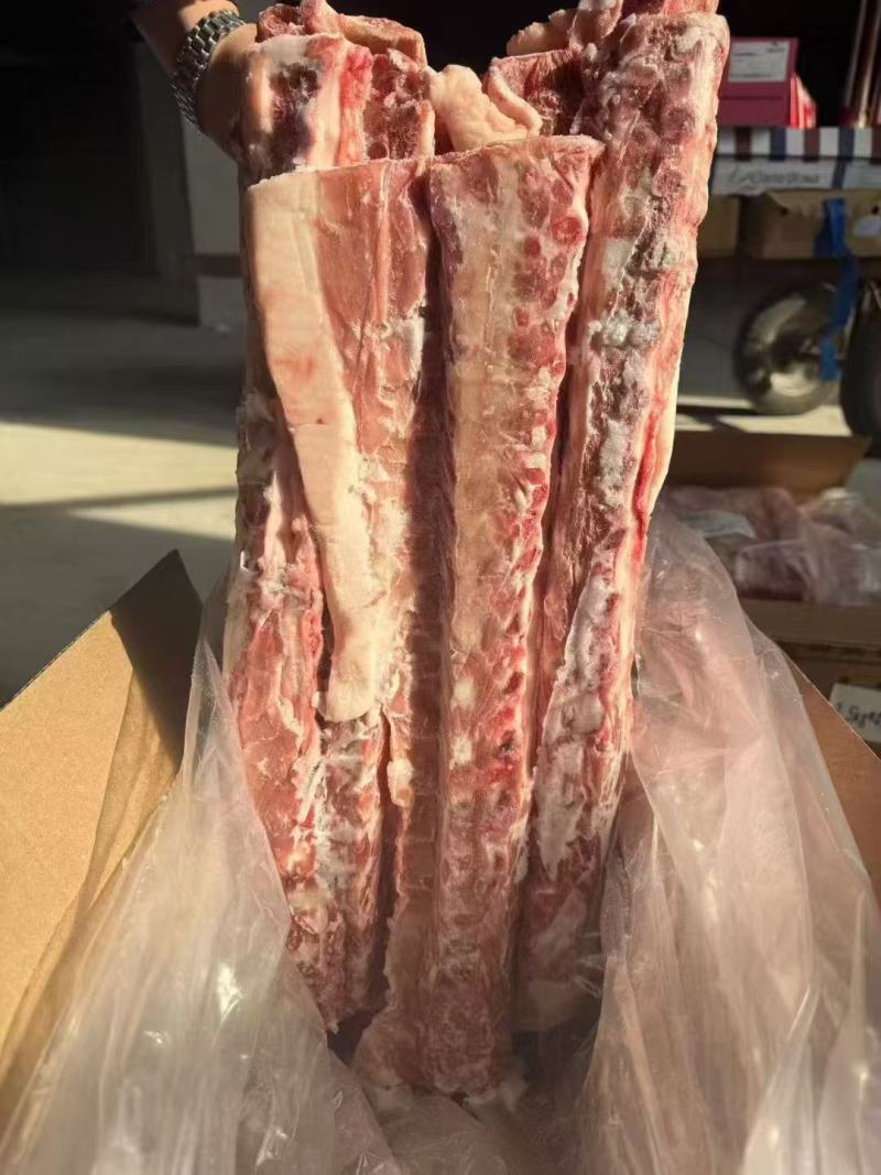 猪背骨