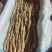 精品铁棍苗，各种规格都有，欢迎全国各地客户洽谈合作…