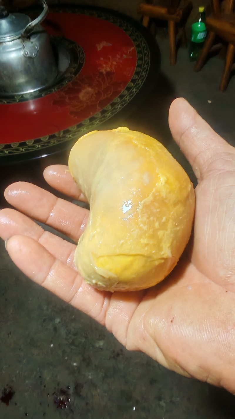 新鲜鸡宝