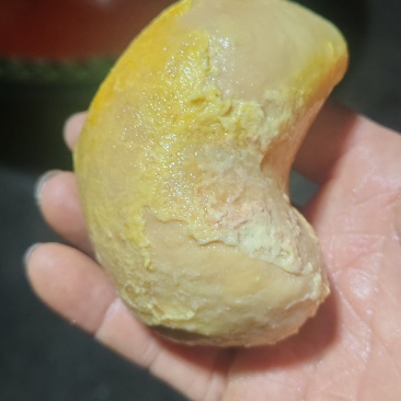 新鲜鸡宝