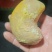 新鲜鸡宝