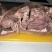 【熟牛头肉】