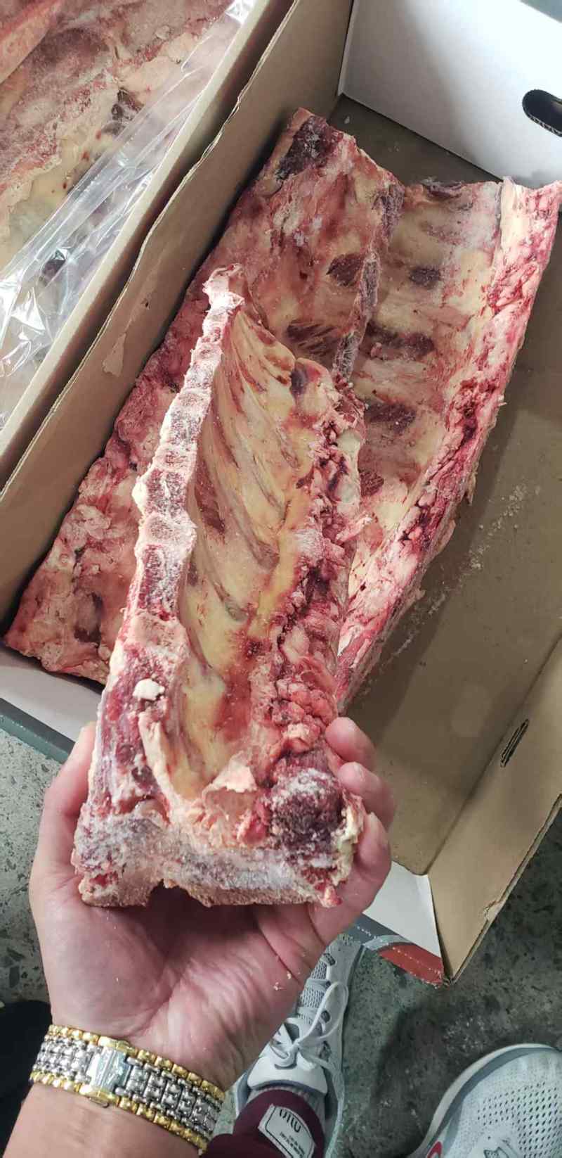 牛脊骨