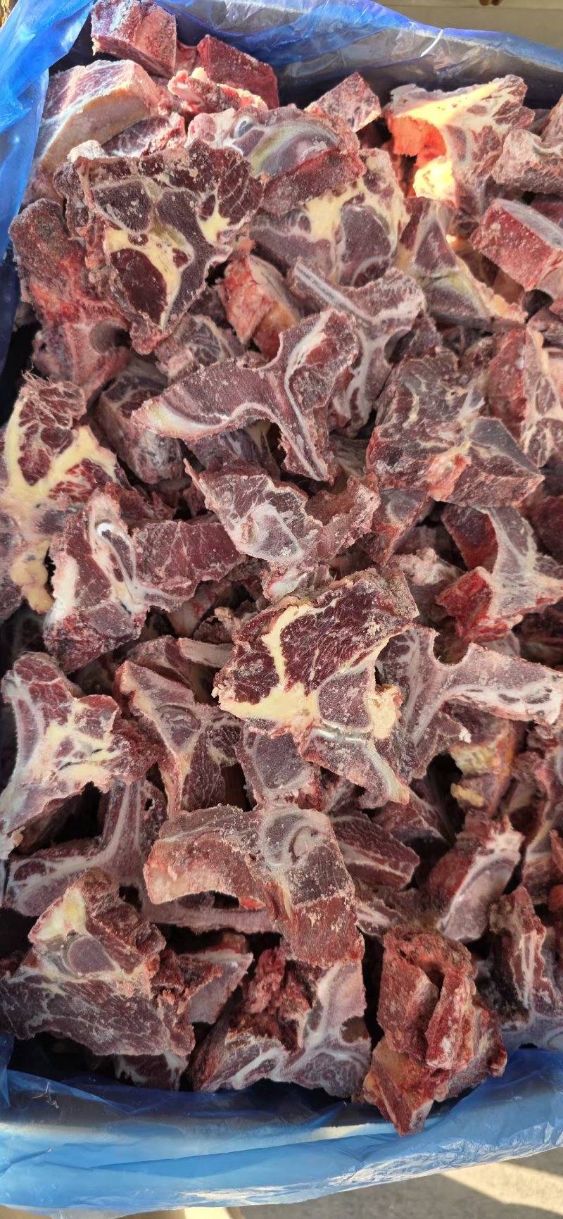 牛脊骨