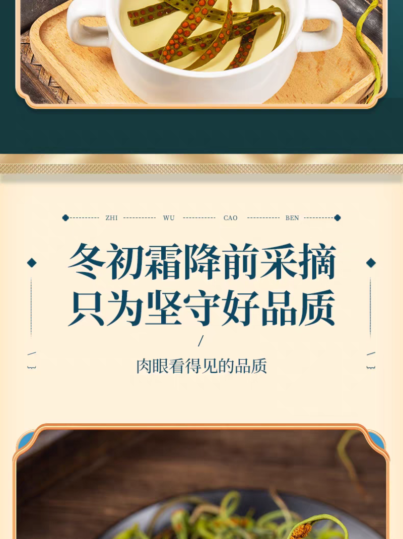 包邮）东北吉林长白山野生化石草化石草500克
