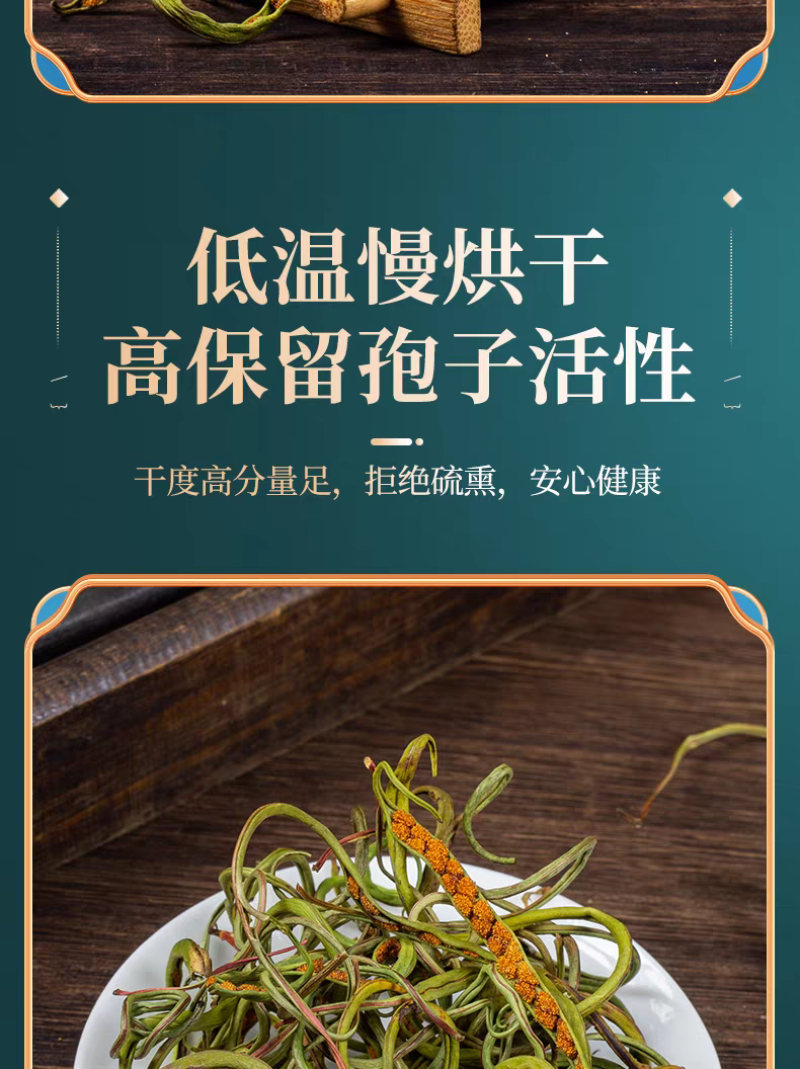 包邮）东北吉林长白山野生化石草化石草500克