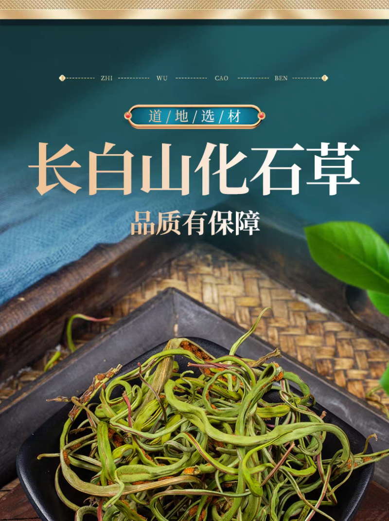 包邮）东北吉林长白山野生化石草化石草500克