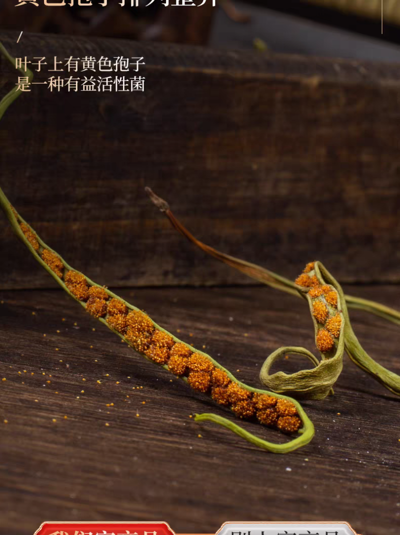 包邮）东北吉林长白山野生化石草化石草500克