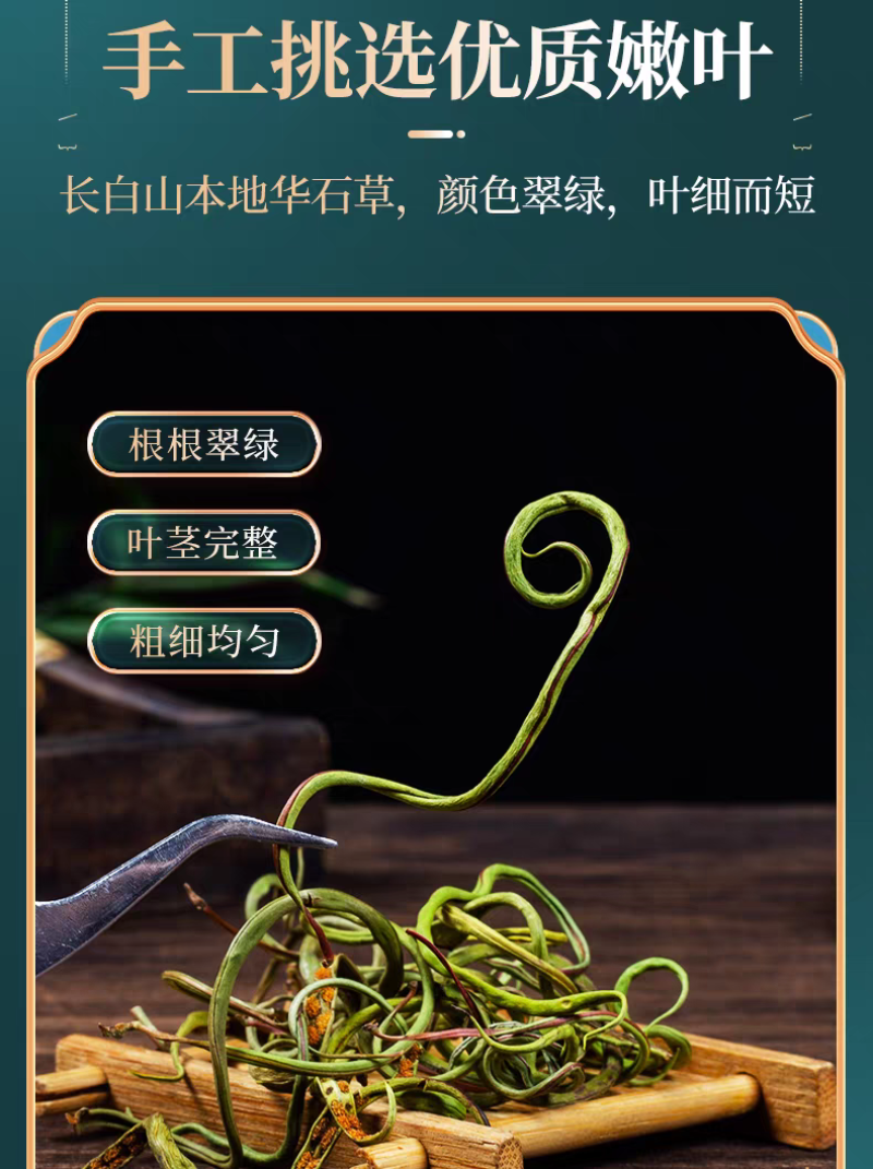 包邮）东北吉林长白山野生化石草化石草500克