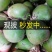 湖北天门青头萝卜/产区圆萝卜/产区直发/大量发车