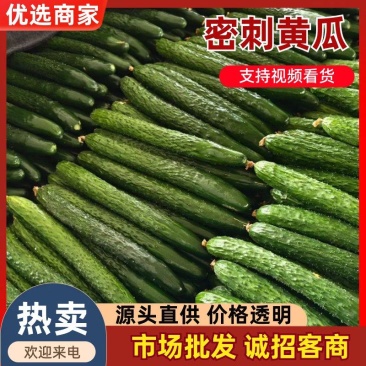 广东湛江精品油瓜，产地直供，全国可代发，欢迎资源