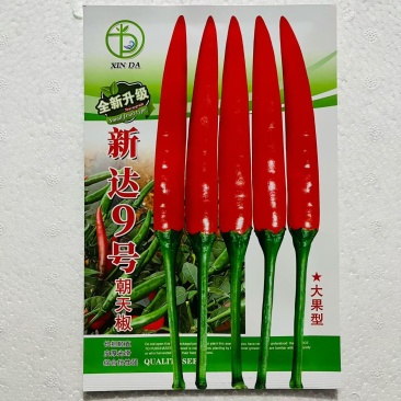 新达9号朝天椒种子正品长把顺直大果朝天椒种子高产果硬鲜红