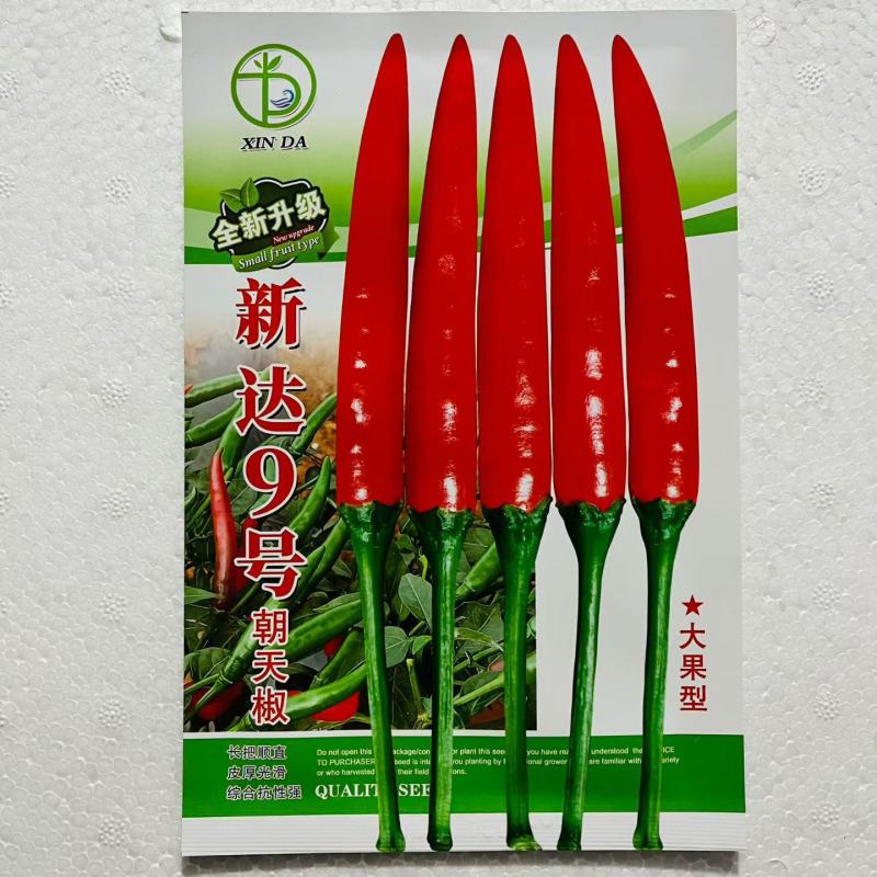 新达9号朝天椒种子正品长把顺直大果朝天椒种子高产果硬鲜红