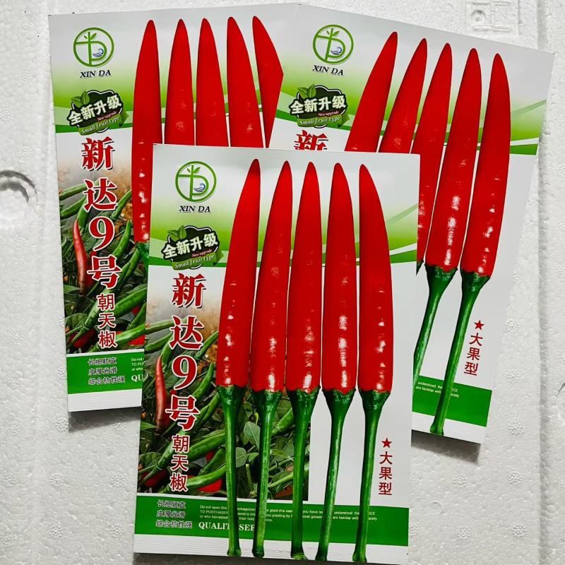 新达9号朝天椒种子正品长把顺直大果朝天椒种子高产果硬鲜红