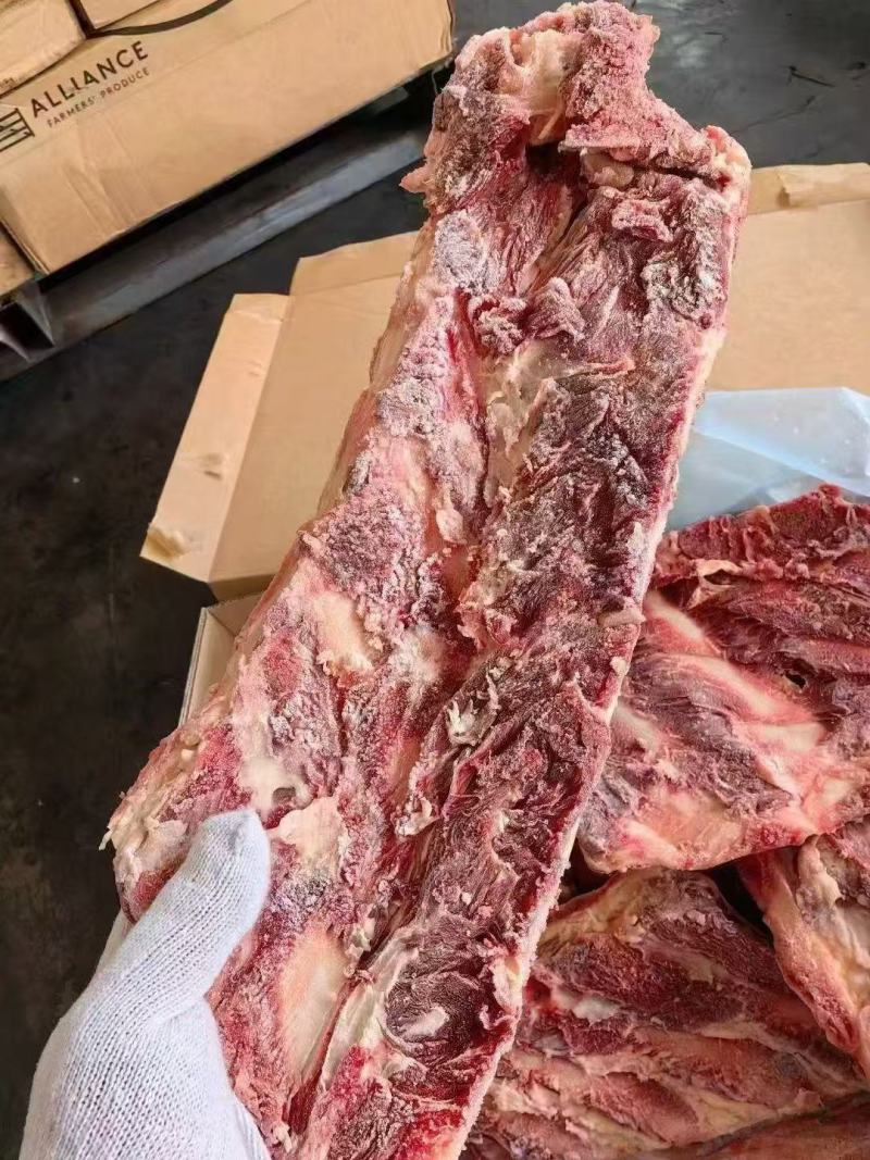 牛羽骨