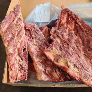 牛羽骨