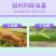 华星宽伴90%杀虫单粉剂水稻专用药二化螟三化螟杀虫剂农药