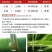 华星宽伴90%杀虫单粉剂水稻专用药二化螟三化螟杀虫剂农药