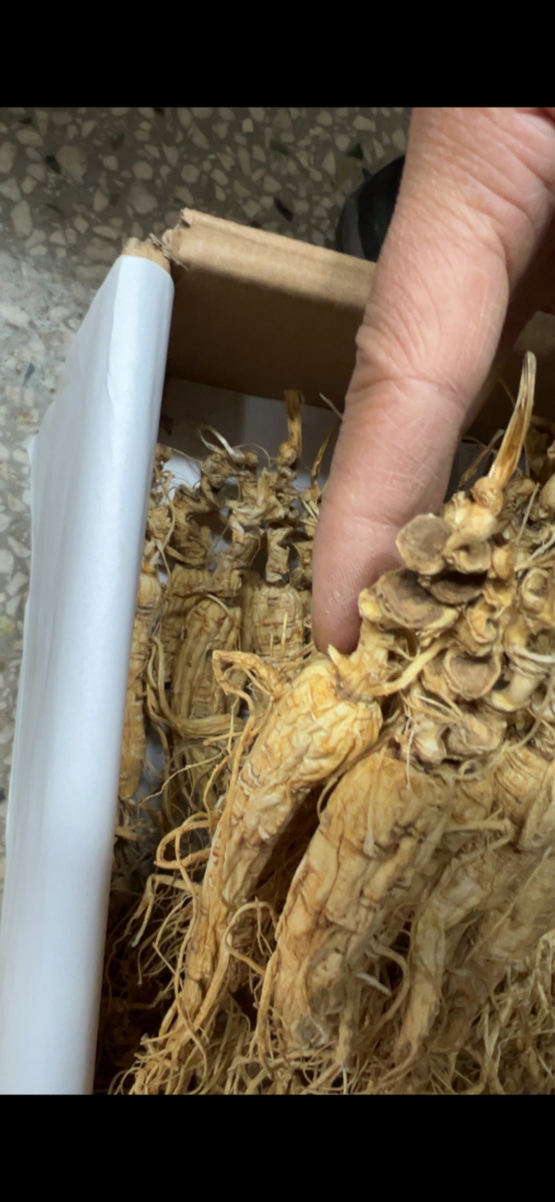 林下参子货15—6年打粉料，泡酒，煲汤，打粉