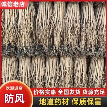 【产地直供】大西北高品质关防风，货源充足，量大从优！