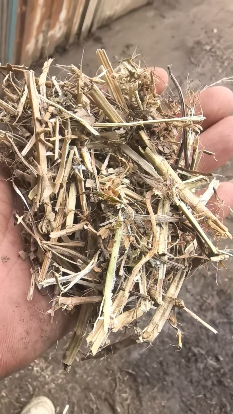 花生秧草料