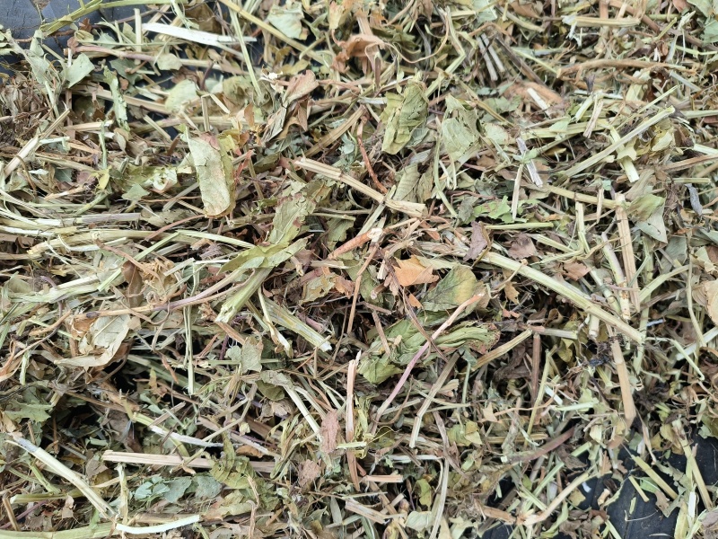 花生秧草料