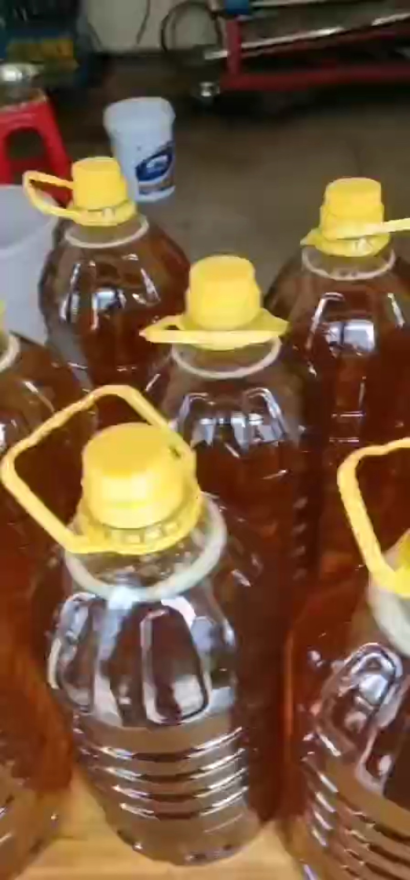 农村纯正山茶子油