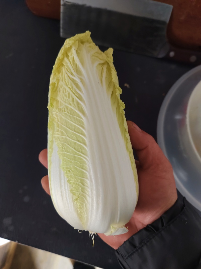 包白菜-10亩。“菜鲜森”感受田间的鲜气，养出身体的元气