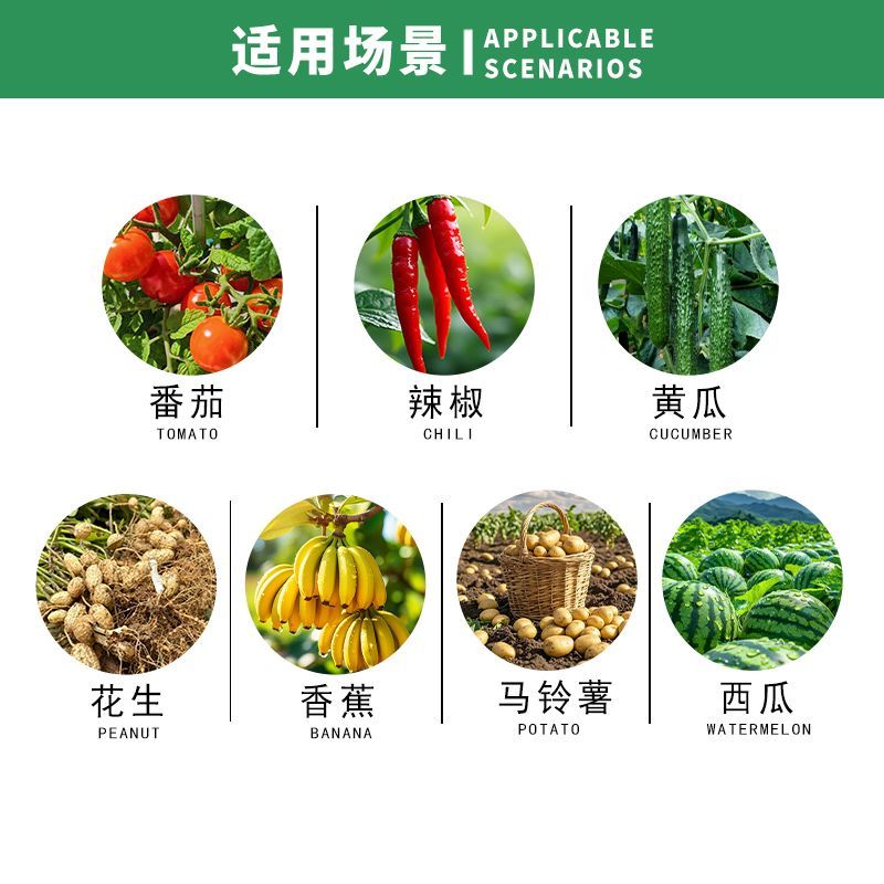 日本达科宁40%百菌清黄瓜霜霉早晚疫叶霉叶斑病农药