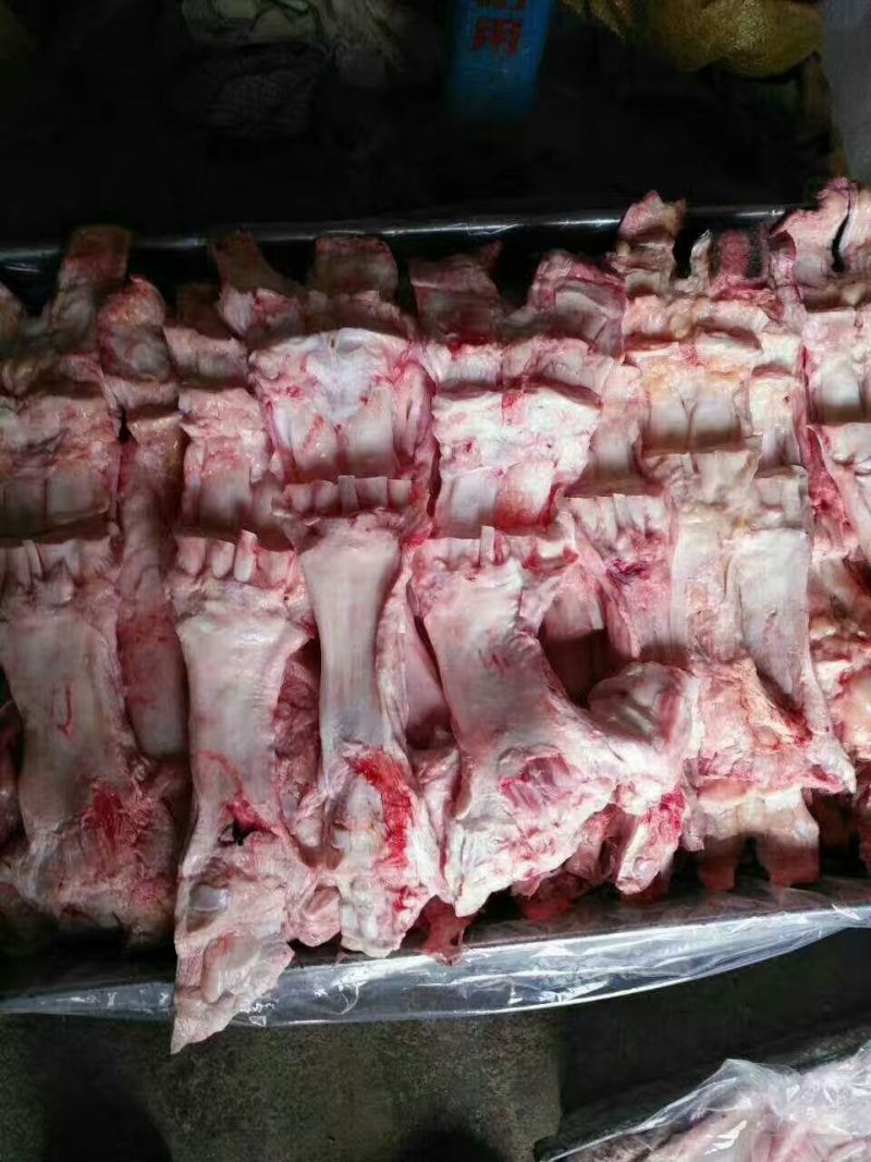厂家直销国产纯干育黄牛蹄筋主筋