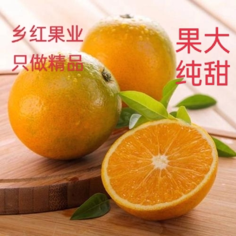 湘西冰糖橙甜度高，橙香浓郁。