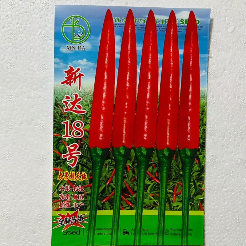 新达18号辣椒种子长把大果朝天椒种子辣味浓郁硬度好鲜红高