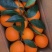 【推荐】纽荷尔脐橙一手货源供应市场商超电商量大从优
