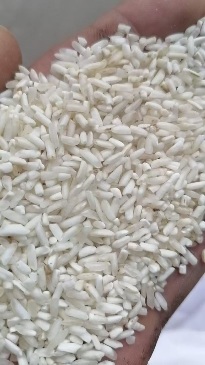 100吨选白米图片样需要的速度