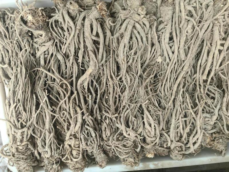 【产地直供】甘肃岷县当归原条，精选高品质当归，品质有保障