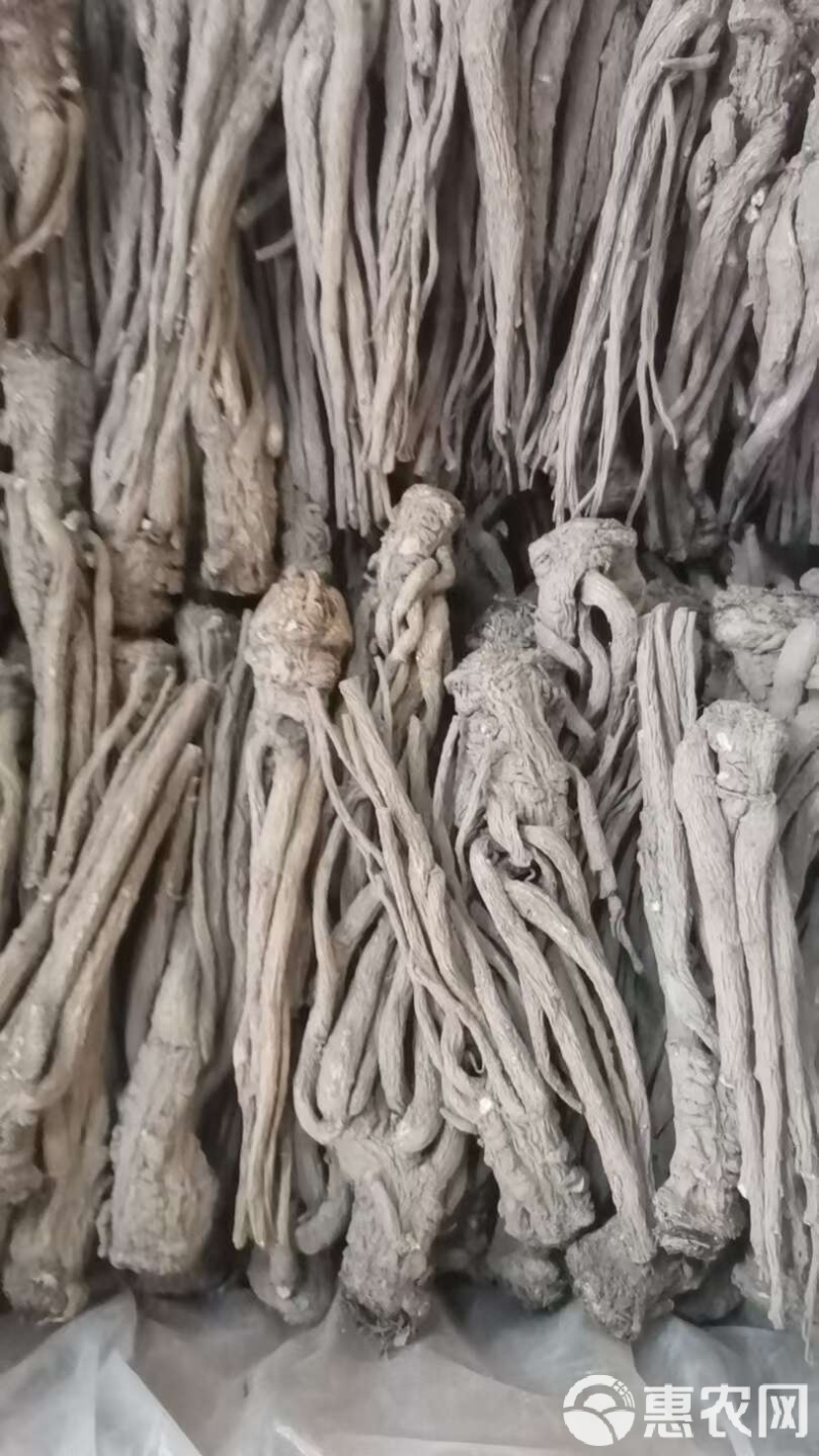 【产地直供】甘肃岷县当归原条，精选高品质当归，品质有保障