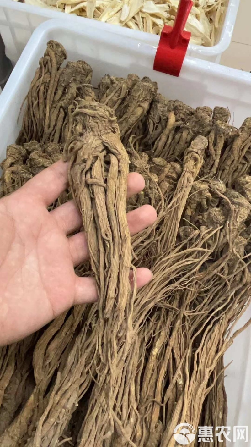 【产地直供】甘肃岷县当归原条，精选高品质当归，品质有保障