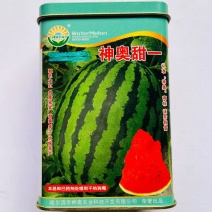 神奥甜一甜王西瓜种子