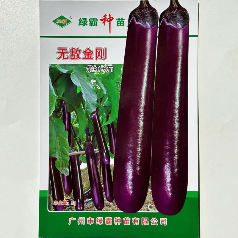 绿霸无敌金刚紫红长茄子种子烧烤茄子春秋冬季播蔬菜种子紫红