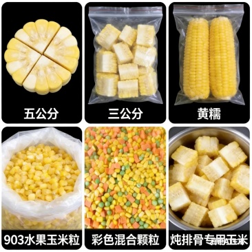速冻熟玉米加工定制