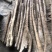 河北精品小白嘴山药基地一手货源全国发货可视频看货