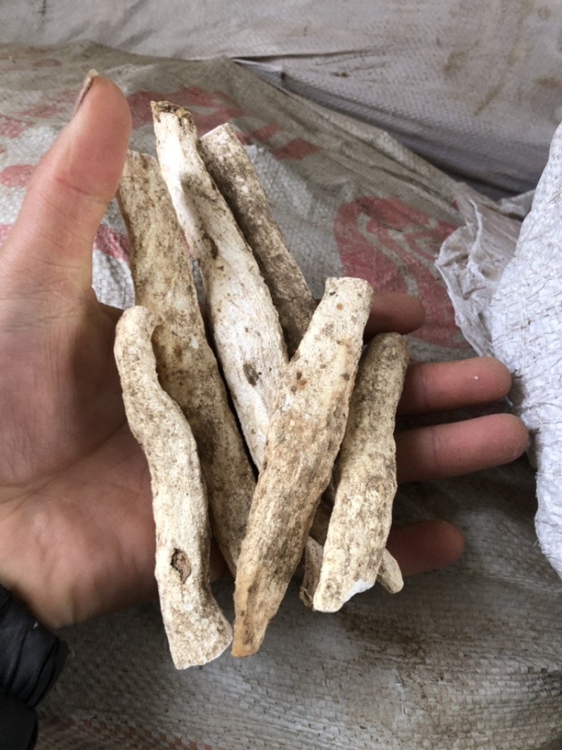 河北精品小白嘴山药基地一手货源全国发货可视频看货