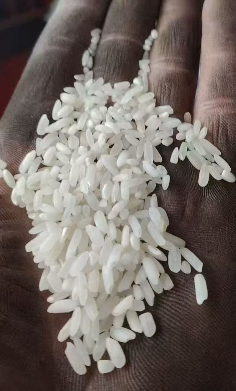 陈丰良优要的联系我