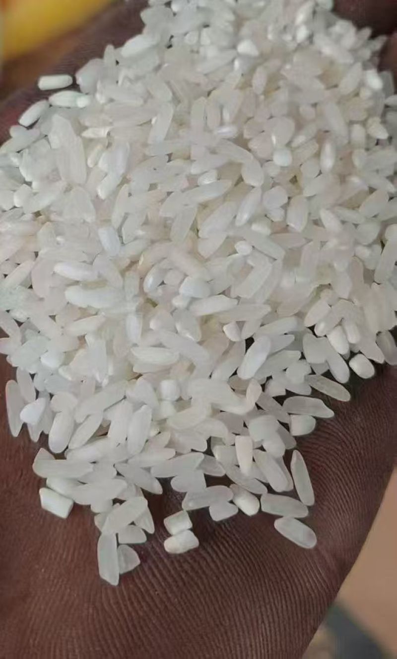 陈丰良优要的联系我