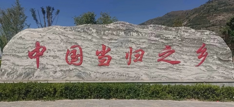【产地直供】甘肃岷县当归原条，精选高品质当归，品质有保障