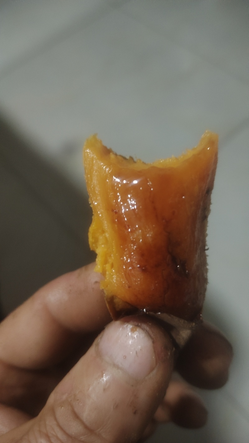烟薯二十五
