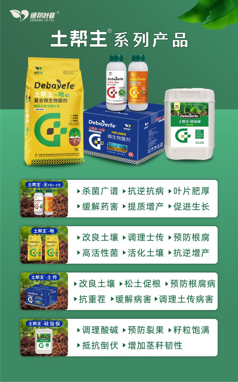 土帮主地生物有机肥，预防根腐土传病害