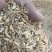 压缩稻壳厂家直发养殖垫料菌菇种植土壤改良