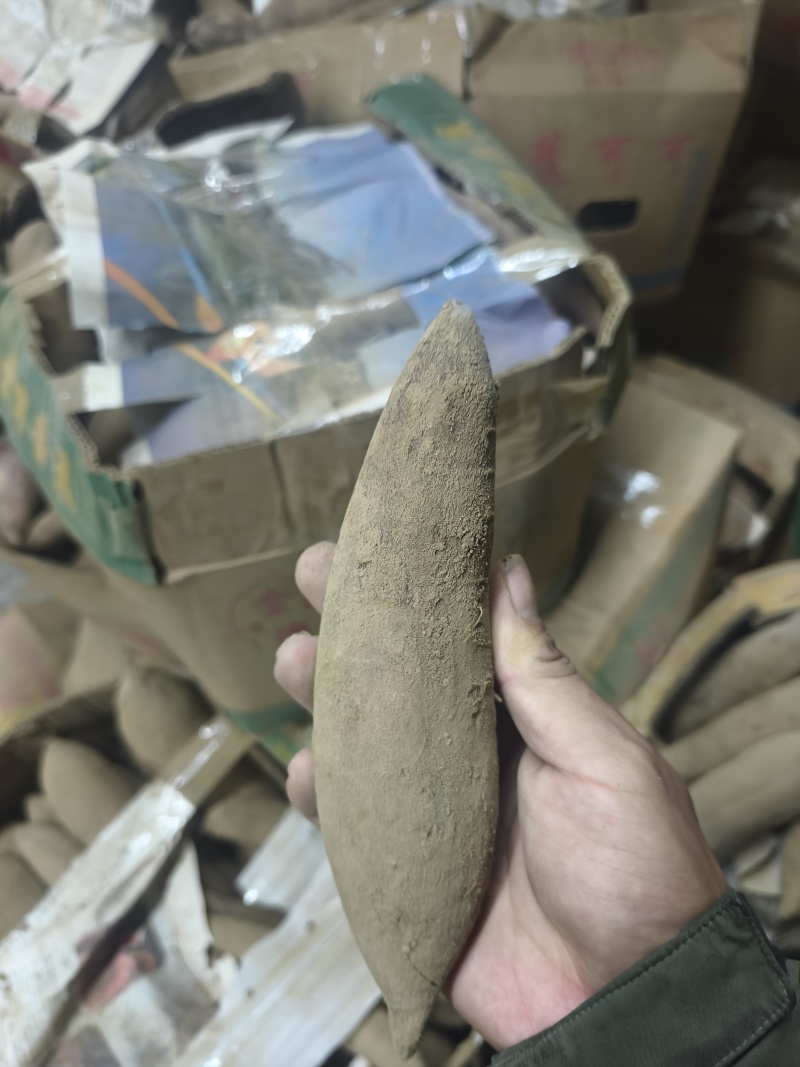 沙土地紫薯，全部长条中块