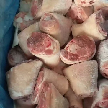 小前肘